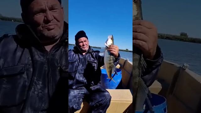 16 сентября 2022 г. смотреть онлайн