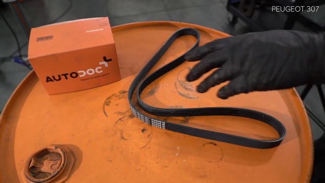 Wie PEUGEOT 307 (3H) Keilrippenriemen Wechseln [AUTODOC TUTORIAL]