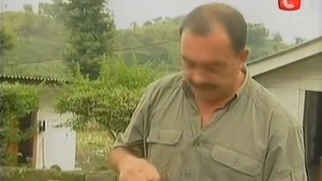 Вокруг Света Индонезия смотреть онлайн