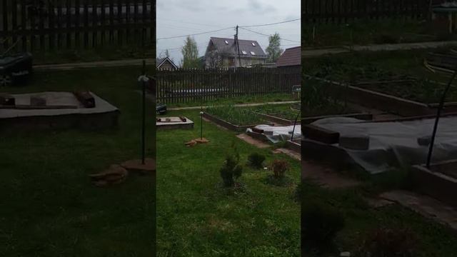 26 мая. Участок после покоса. смотреть онлайн