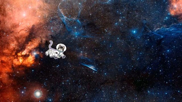 Cat in Space Кот в космосе смотреть онлайн