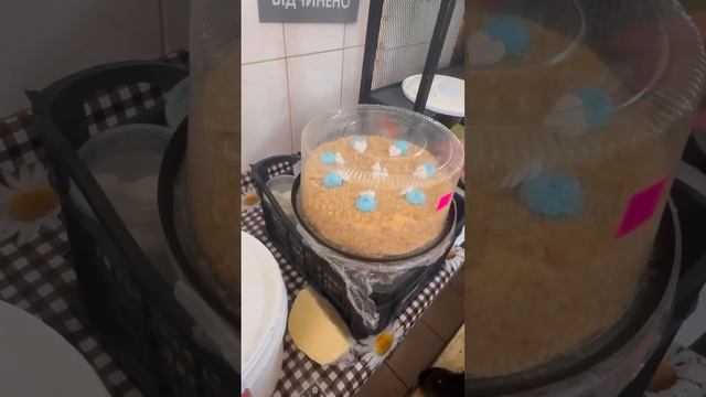 Пятница. Цена на сало солонину.. смотреть онлайн