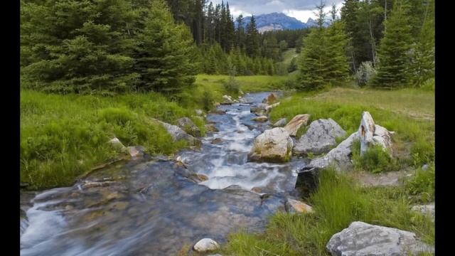 Оберегающий заговор смотреть онлайн