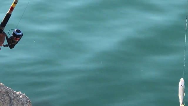 Мы снова начали рыбачить смотреть онлайн