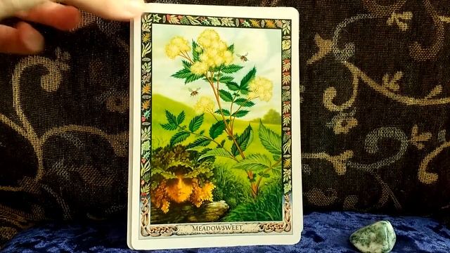 Druid Plant Oracle flip through смотреть онлайн