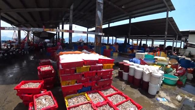 Нячанг. Рыбный рынок.Шок для европейцев.