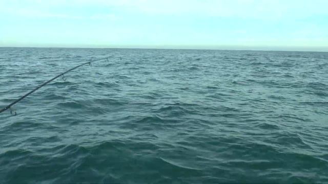 Рыбалка в Крыму. Немецкая балка. В поисках луфаря и селедки. Отчет смотреть онлайн