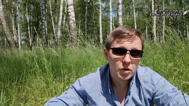 Стихи о любви - "В мир душою не вернулся" - стихи о жизни / до слез /звуки природы / смотреть онлайн