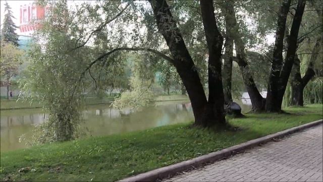 У Новодевичьего монастыря. Москва. смотреть онлайн