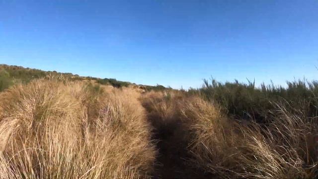Virtual Running Video 1 Hour | Virtual Running Videos For Treadmill With Music