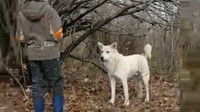 Максим и его пес Карпинск смотреть онлайн
