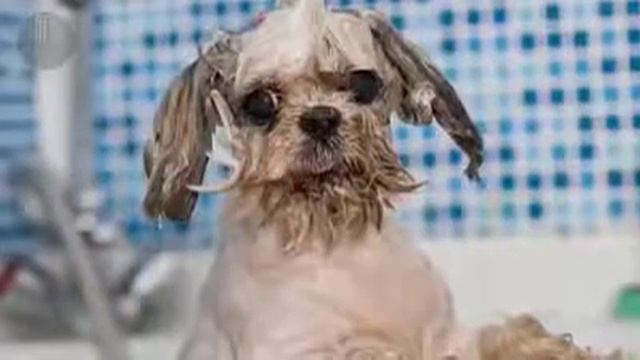 Что нельзя делать в повседневной жизни смотреть онлайн