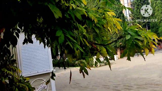 Симеизская глициния. смотреть онлайн