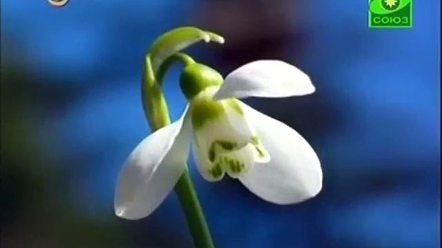 Моя 1 экология 1 класс смотреть онлайн