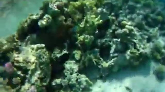 поиск сотового на дне смотреть онлайн