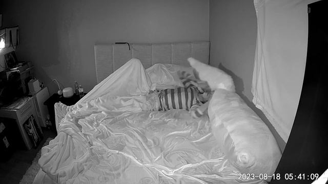 🎥Restless Sleep (Stripes & Pillows) Aug 18, 2023 (PLMD)