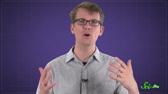 What Do Dogs See When They Watch TV? смотреть онлайн