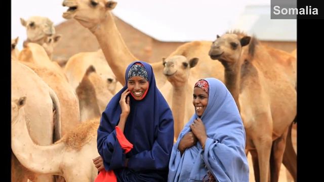 Names and meanings of Horn of Africa countries смотреть онлайн