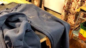 Сушильная машина. Нужна ли она? Как собирает шерсть домашних животных? Обзор сушки Электролюкс