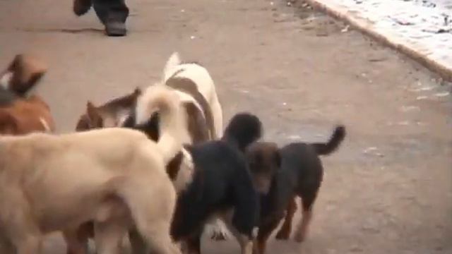 В минувшем году в регионе смотреть онлайн