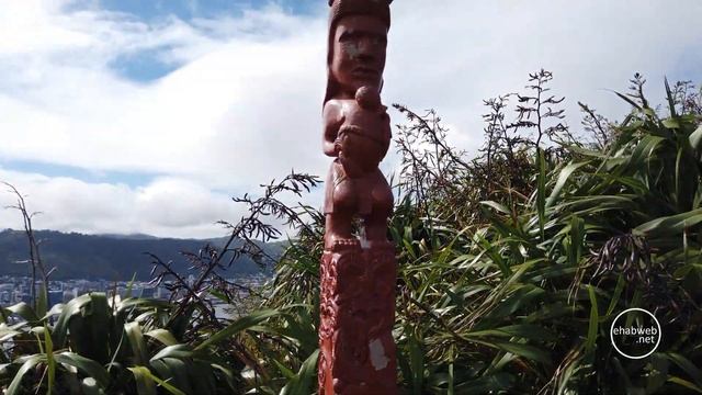 Mount Victoria Lookout - Wellington - New Zealand смотреть онлайн
