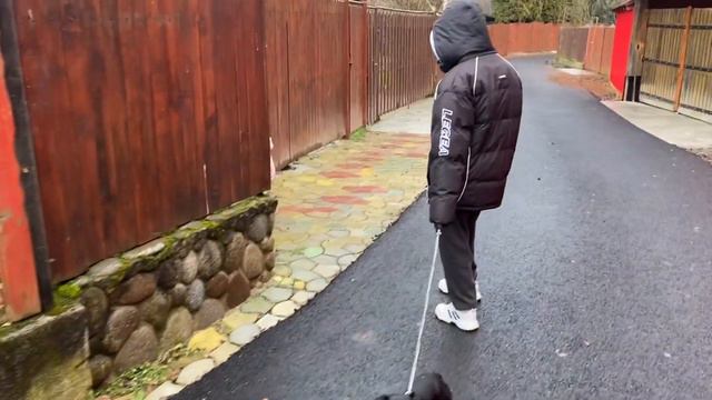 VLOG: НИКАКОГО ПРАЗДНИКА!((( 24.12.2022 смотреть онлайн