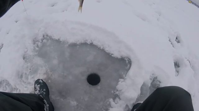 Можайское вдхр. Красновидово. 5.01.2019г. смотреть онлайн