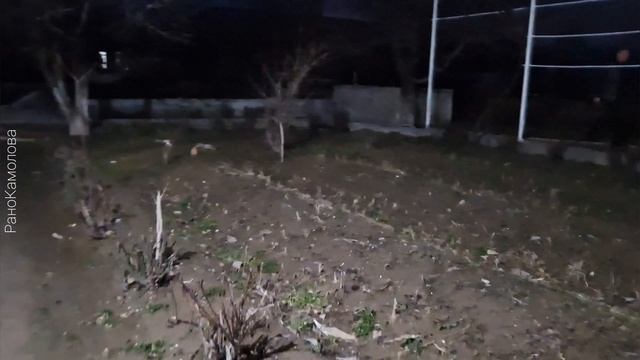 САМАРКАНД! ПОЕЗДКА в УРГУТ! @ranokamolova