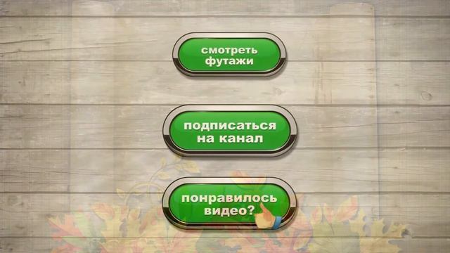 ✜Бесплатный осенний футаж-9 #осеннийфутаж смотреть онлайн