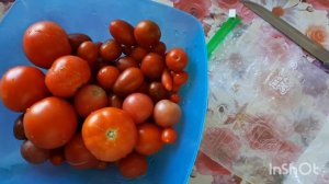 САМЫЙ ВКУСНЫЙ ТОМАТ «АНАНАС»?ДЕЛАЕМ ЗАГОТОВКИ НА ЗИМУ? ПОСПЕЛ ВИНОГРАД?