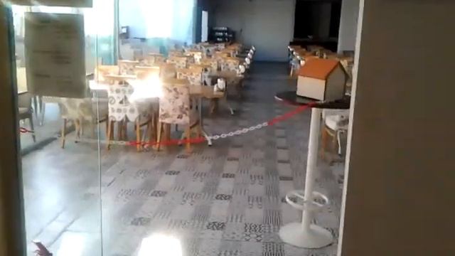 Club Eva смотреть онлайн