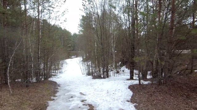 Разлив Оки на 07 04 2021г, Алексин ,снег в лесу смотреть онлайн