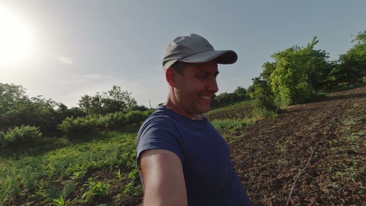 ПОРЯДОК ПРЕЖДЕ ВСЕГО / ЛОМАЕМ СТЕЛАЖ / НЕ ПОНИМАЮ ЧТО Я ДЕЛАЮ смотреть онлайн