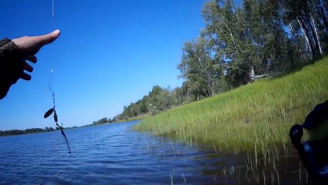 Классная рыбалка. Разловил хорватское яйцо! Щука на спиннинг. #NIK_72 смотреть онлайн