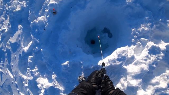 Невероятный улов в верховье Аякли! Поймали много кумжи! Рыбалка на Крайнем Севере!