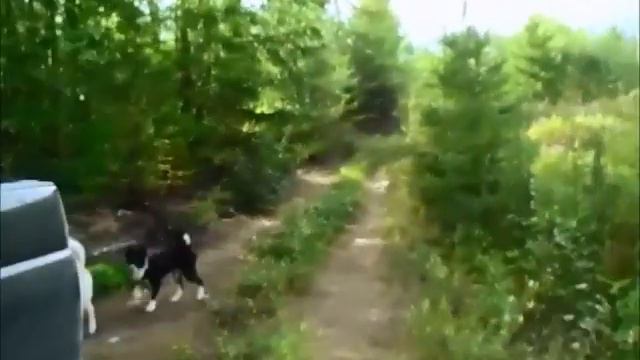 Смородина. смотреть онлайн