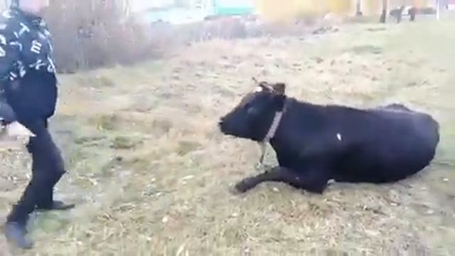 Андрей, Быка за Рога смотреть онлайн