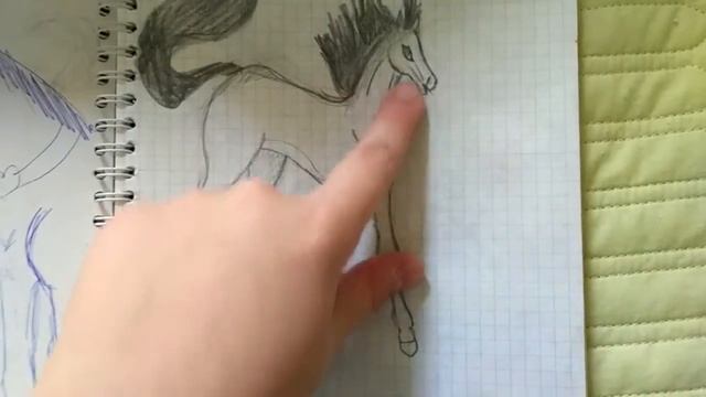 ?Мои рисунки лошадей? смотреть онлайн
