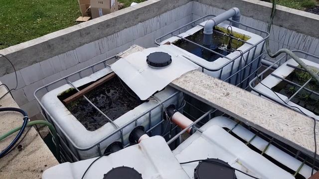 Neue HiBlow HP-60 perfekt für den Helixfilter | 60 Liter/Minute | Koiteich-Blog #25 смотреть онлайн