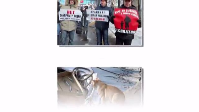 День рыбака 2014 смотреть онлайн