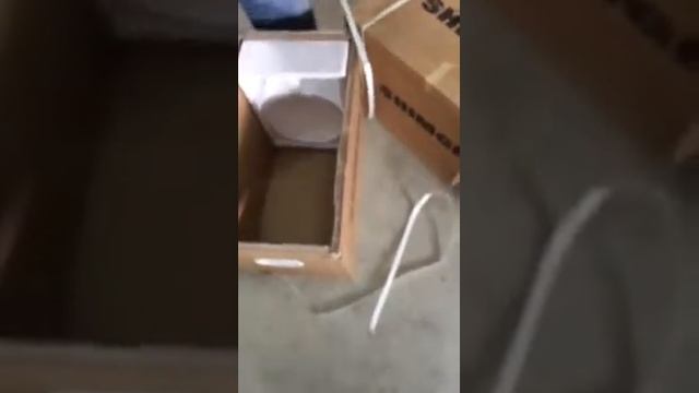 Show pump shimge смотреть онлайн