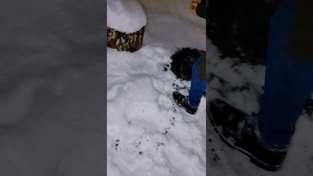 мотобур Hammer MTB60 смотреть онлайн