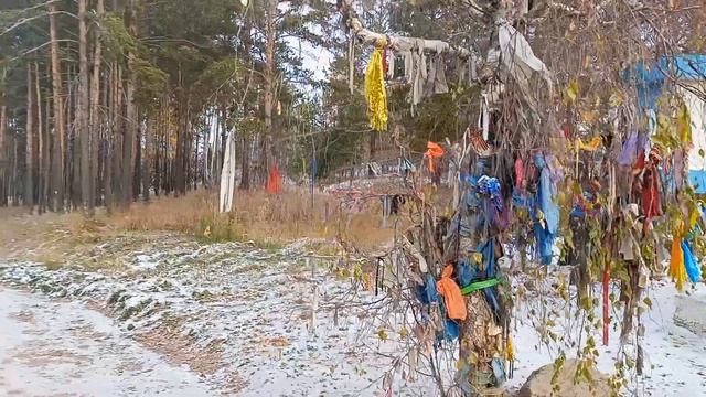 Психологический Коучинг и Развитие личности