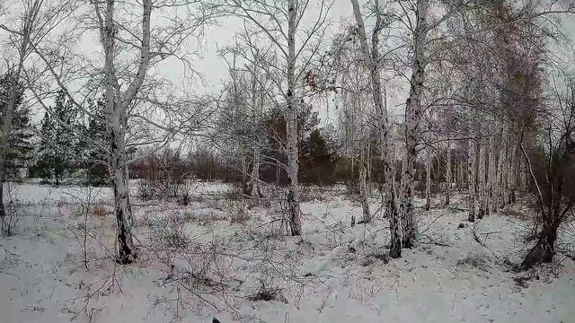 Охота на зайца 2017-18г. ч.4 Красиво набежал... смотреть онлайн