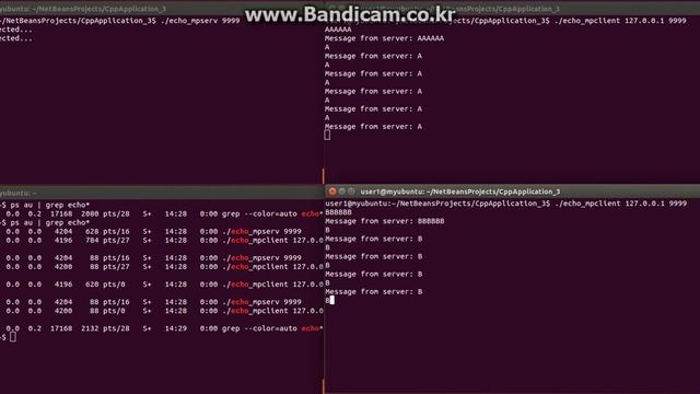 Echo Client & Server based on MultiProcessing смотреть онлайн