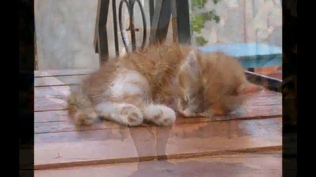 Кристалинская Майя Топ, топ, топает малыш смотреть онлайн