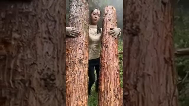 Терминаторша