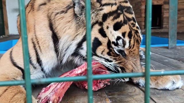 Красотун???❤ смотреть онлайн