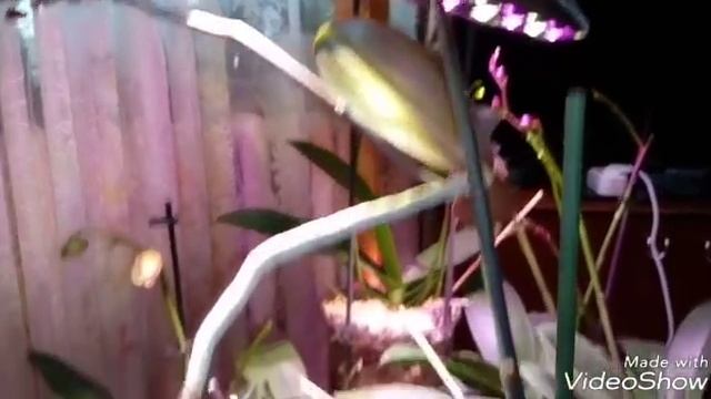 Стройка Практик