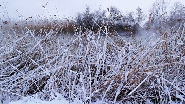 Волшебница-зима. смотреть онлайн